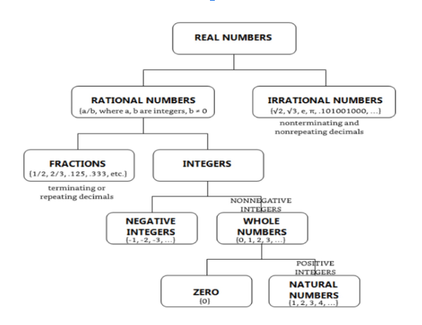 Real Numbers and Their Classification